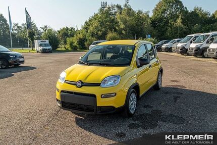 Fiat Panda 11.000 km 13.490 &euro; Reichertshofen-Winden 85084
