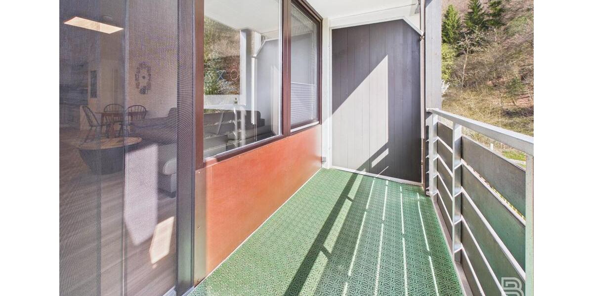 Etagenwohnung Riedenburg - 1 Zimmer, 45 m&sup2;, 450&euro; | Angebot:26200148