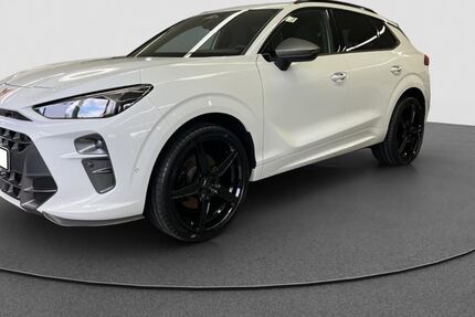 Cupra Terramar 24.212 km 49.950 &euro; Ingolstadt 85053