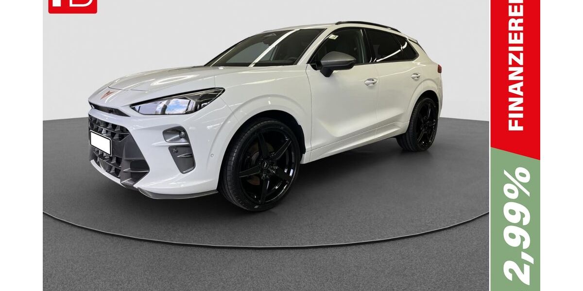 Cupra Terramar 24.212 km 49.950 &euro; Ingolstadt 85053