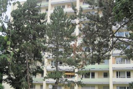 Wohnung Ingolstadt Friedrichshofen-Hollerstauden - 3 Zimmer, 73 m&sup2;, 939&euro; | Angebot:25985013