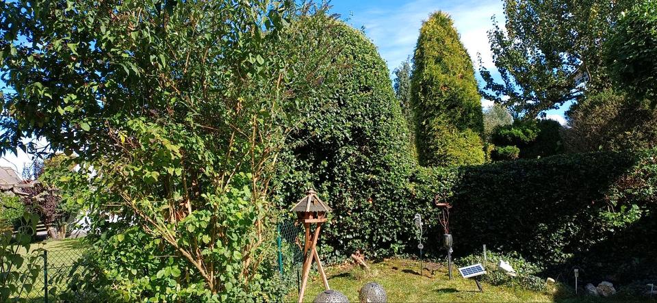 Erdgeschoßwohnung Schrobenhausen - 2 Zimmer, 56 m&sup2;, 236.000&euro; | Angebot:25294817