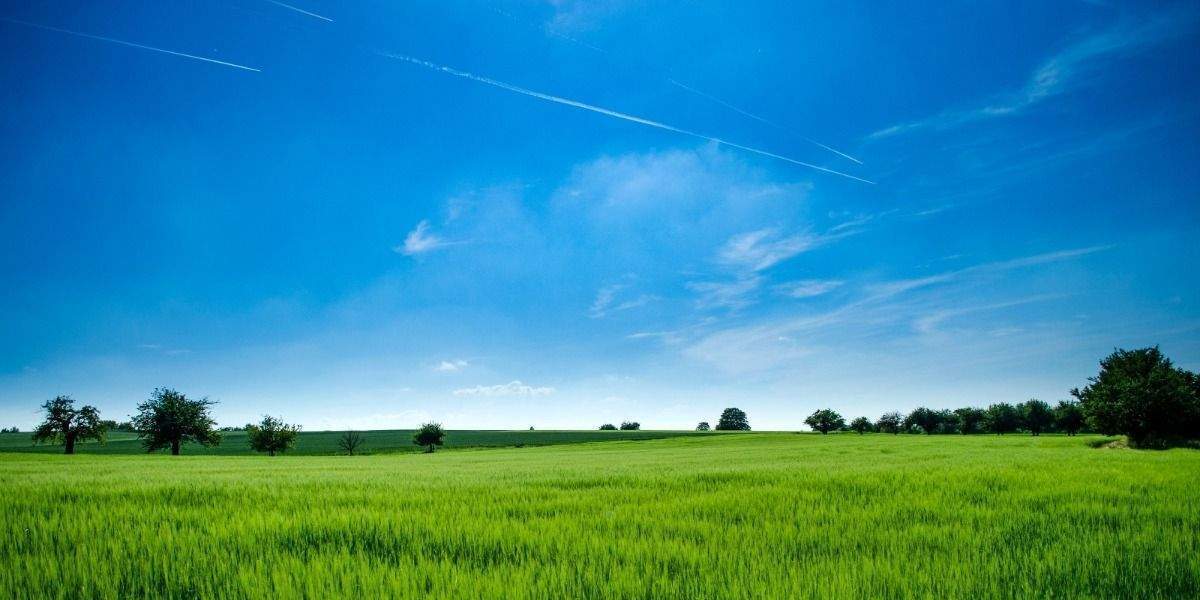 Grundstück Eitensheim - 460.000&euro; | Angebot:25663820