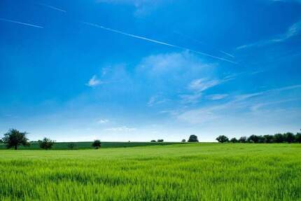 Grundstück Eitensheim - 495.000&euro; | Angebot:25663820