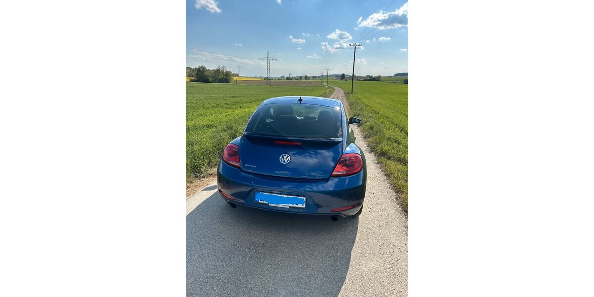 VW Beetle 98.000 km 16.500 &euro; Kösching-Kasing 85092