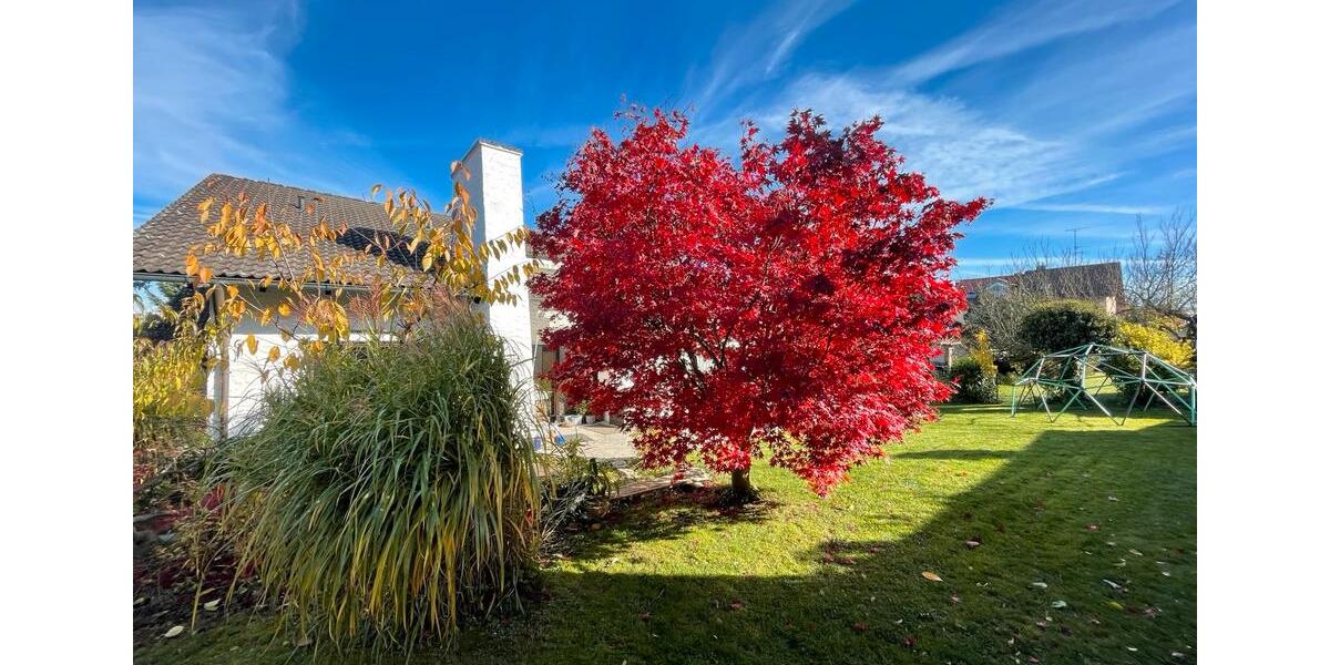 Einfamilienhaus Wettstetten - 10 Zimmer, 245 m&sup2;, 915.000&euro; | Angebot:26305290