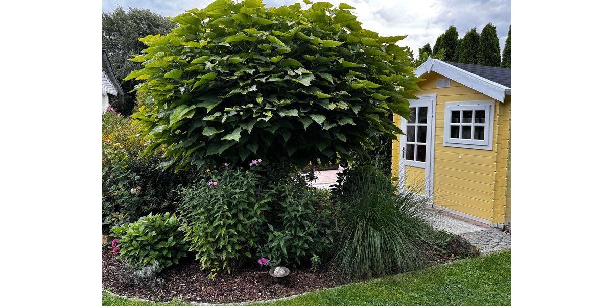 Einfamilienhaus Scheyern - 16 Zimmer, 610 m&sup2;, 3.700.000&euro; | Angebot:25988726