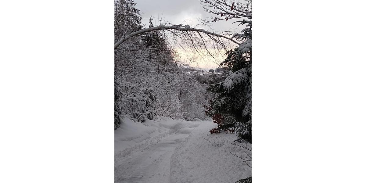 Einfamilienhaus Ingolstadt Südost - 4 Zimmer, 240 m&sup2;, 255.000&euro; | Angebot:24815876