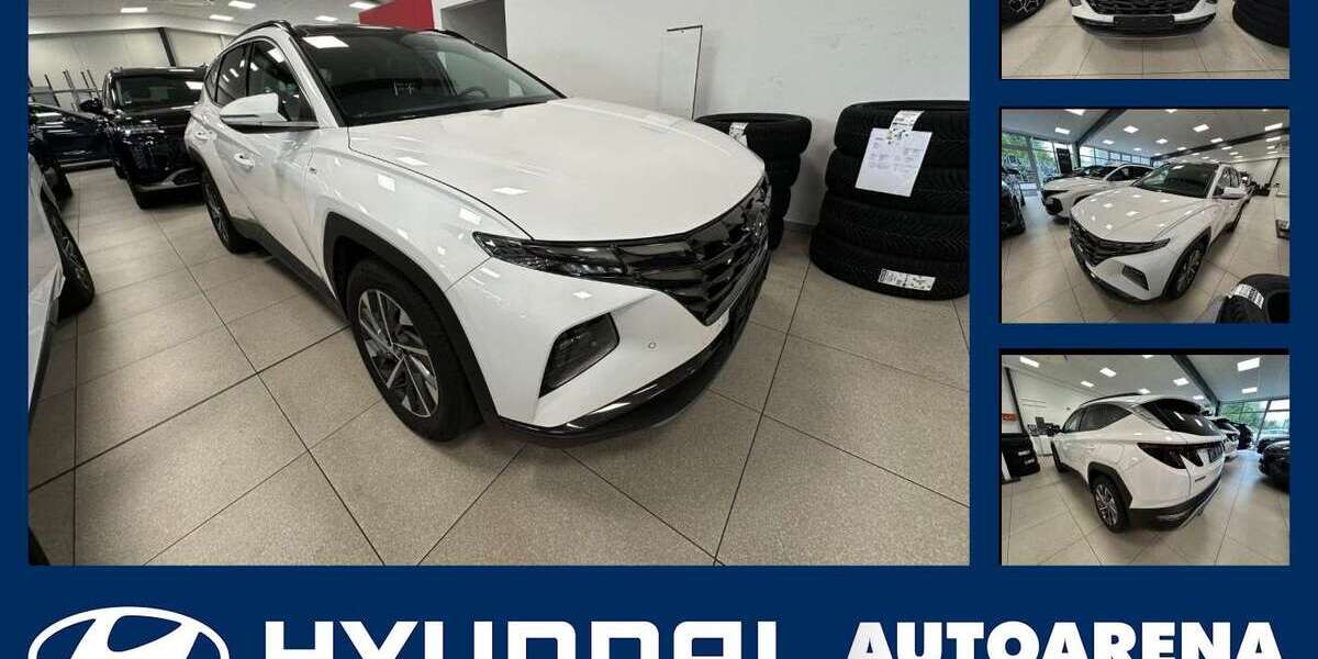 Hyundai TUCSON 44.210 km 24.975 &euro; Ingolstadt 85053