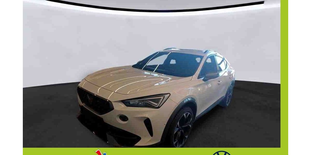 Cupra Formentor 29.830 km 28.940 &euro; Mainburg 84048