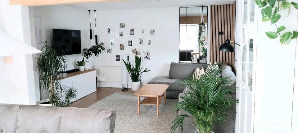 Einfamilienhaus Königsmoos - 559.000&euro; | Angebot:26545597