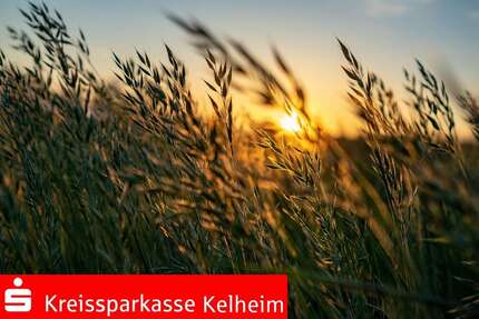 Sonstige Altmannstein - 512.000&euro; | Angebot:25193555