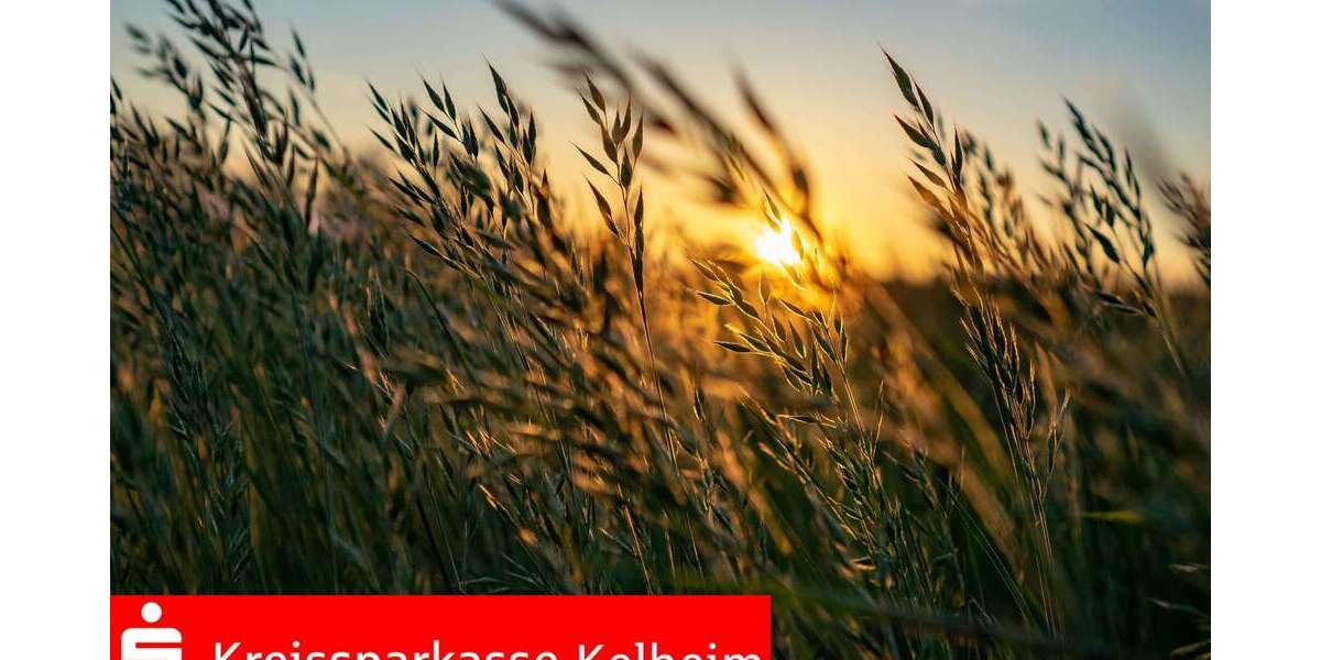 Sonstige Altmannstein - 512.000&euro; | Angebot:25193555