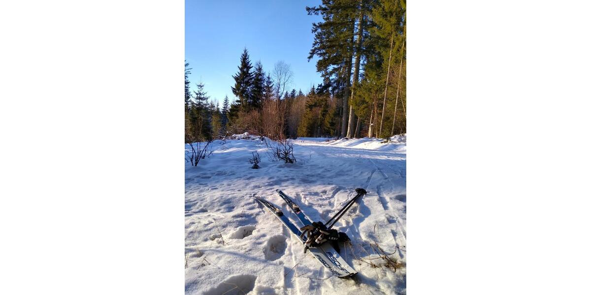 Einfamilienhaus Ingolstadt Südost - 4 Zimmer, 240 m&sup2;, 255.000&euro; | Angebot:24815876