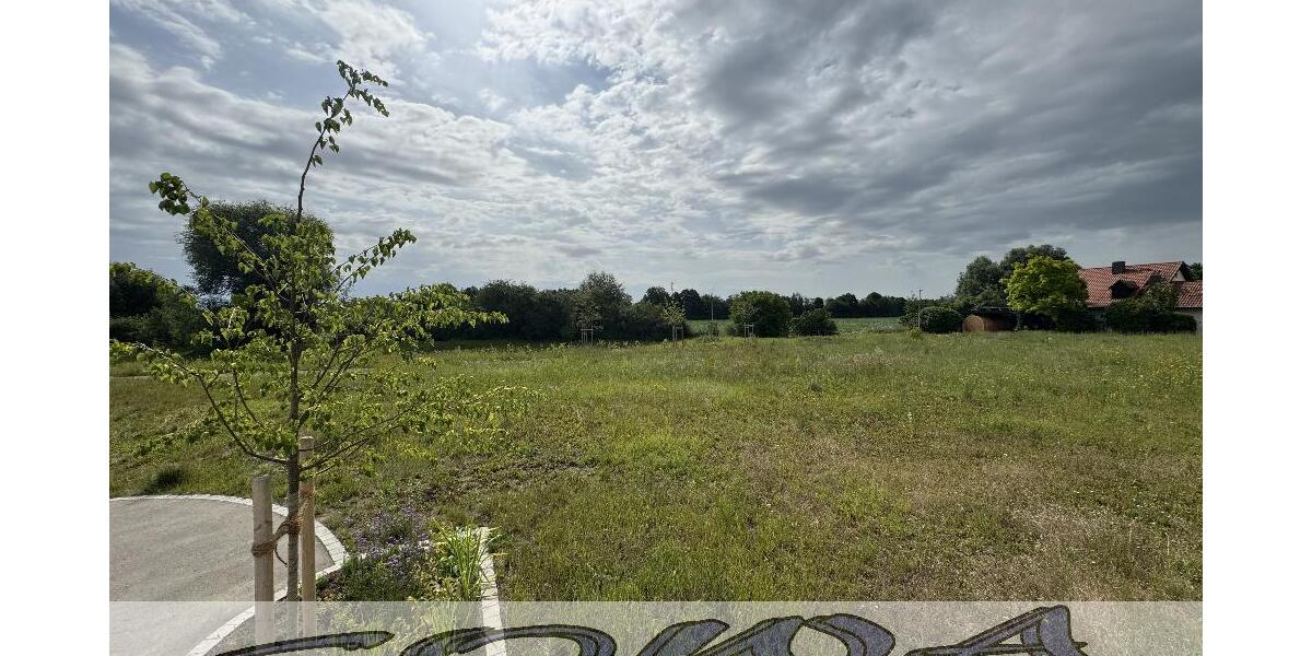 Gut geschnittenes Baugrundstück ohne Bauzwang in Neuburg Heinrichsheim - Ein Objekt von Ihrem Immobilienpartner SOWA Immobilien und Finanzen - Grundstück Neuburg | Angebot:26972365