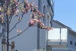 Etagenwohnung Schrobenhausen Mühlried - 4 Zimmer, 102 m&sup2;, 1.330&euro; | Angebot:26363303