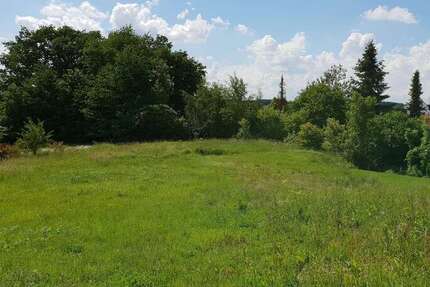 Grundstück Rohrbach - 199.000&euro; | Angebot:21539593