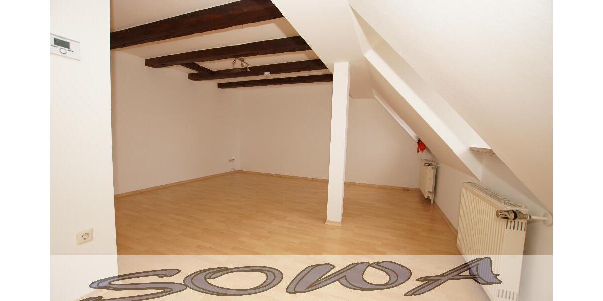 Schöne 3 Zimmer Wohnung im Zentrum mit Blick auf das Schloss in Neuburg zu vermieten - Ein neues Zuhause von SOWA Immobilien und Finanzen Ihr Experte vor Ort - 3- Neuburg | Angebot:26972364